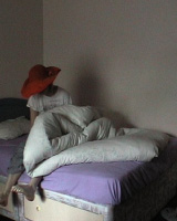 Where the green grass grows